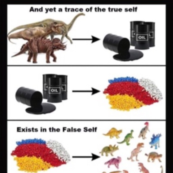 Meet your Posher, Rob - Picture 5 of 16